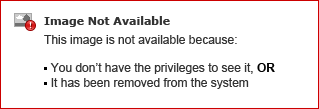 Verizon Skill Forward FAQ